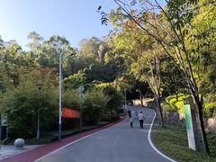 -火炉山森林公园