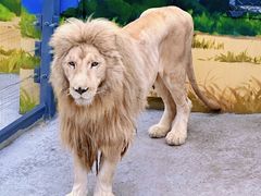 -沈阳森林动物园