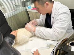 -纳吉亚猫专科动物医院(康都外科中心)