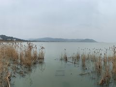 -梦缘水乡·湖景餐厅