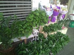 -简单花艺(宝龙万象店)