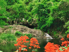 -马峦山郊野公园