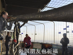 游乐设施-中央广播电视塔