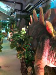 点击看大图 -恐龙探索乐园(磁器口店)