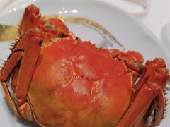 -宝丽轩中餐厅BAOLIXUAN