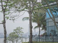 -深圳湾公园(南山区)