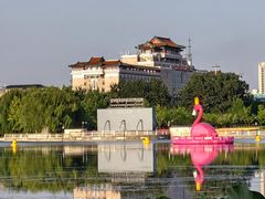-莲花池公园
