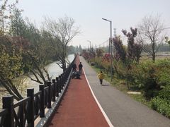 -上海长兴岛郊野公园