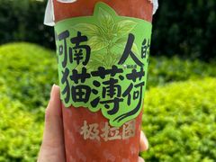 -极拉图·现制冰淇淋(大卫城店)