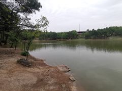 -南京市无想山景区