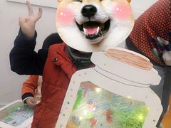 -斯坦星球AI编程·机器人科创·科学实验·信奥·思维·STEM·乐高·竞赛考级(长宁虹桥大融城荟聚中心)