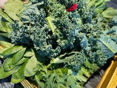 -慢丽江·云南野生菌土鸡锅(付家庄店)