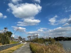 -羊山湖公园
