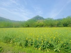 -八卦田遗址公园