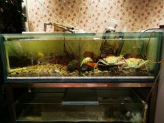 -Imperial Kitchen & Bar 钓小宴私房菜