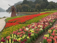 -广州市石门国家森林公园