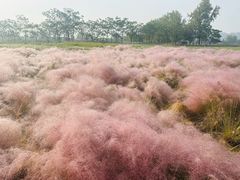 -汉长安城未央宫国家考古遗址公园