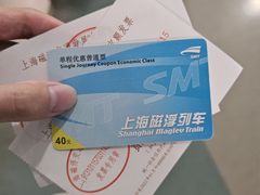 -龙阳路磁悬浮列车总站-停车场