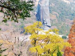 -青岛崂山太清宫