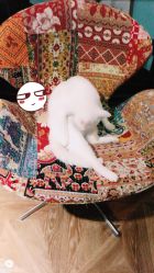 -HMC美容按摩SPA馆