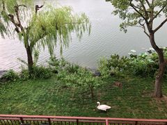 -上海怡沁园度假酒店