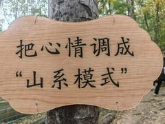 -帽儿山风景区