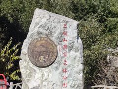 -王顺山国家森林公园