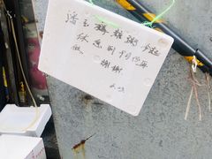 -潘玉麟糖粥