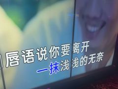 -温莎KTV(珠江路店)