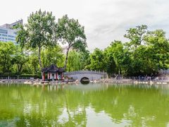 -莲湖公园