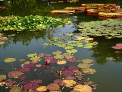 -国家植物园南园