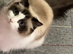 -零纪元VR体验馆·桌游(黄浦店)