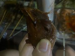 -喜家德虾仁水饺(马栏店)