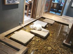 -邈墨茶馆(大兜路1号店)