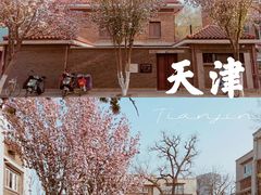 -天津五大道文化旅游区
