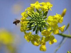 -上海大自然野生昆虫馆(东方明珠·爬宠昆虫探索中心)