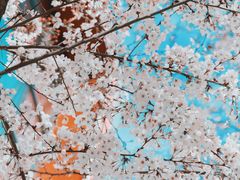 -西安创业咖啡街区