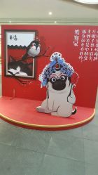 -HMC美容按摩SPA馆