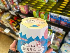 -河口湖车站