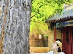 -青岛崂山太清宫