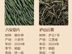 -汉艺唐风茶艺培训(联发华美空间店)