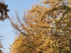 -辽宁大学(崇山校区)
