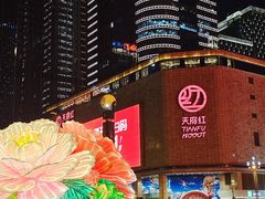 -成都明宇丽雅饭店