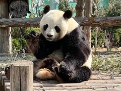 -西霞口神雕山野生动物世界