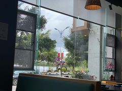 -野菌皇海景野生菌火锅(滨海大道店)
