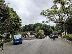 -金鸡山公园