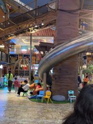 点击看大图 -卡通尼·Safari非洲探索乐园·生日会(金桥国际商业广场店)