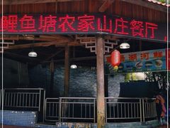 -鲤鱼塘农家山庄