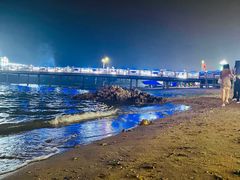 -北戴河碧螺塔海上酒吧公园