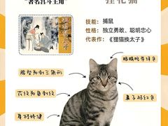 -Bastet sally猫舍购宠(静安店)